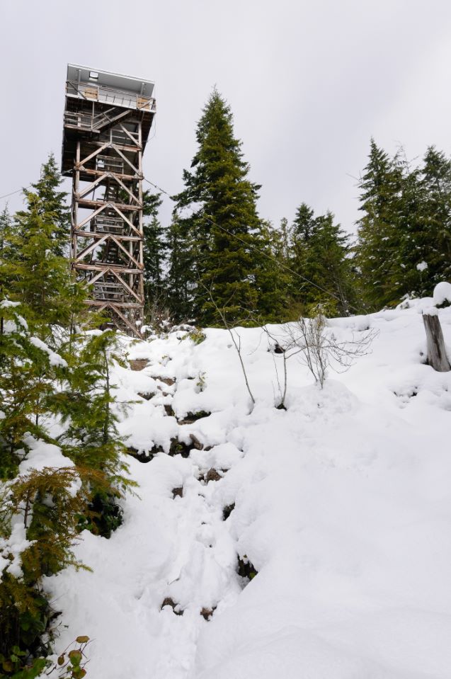 Heybrook Lookout