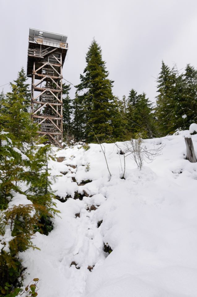 Heybrook Lookout