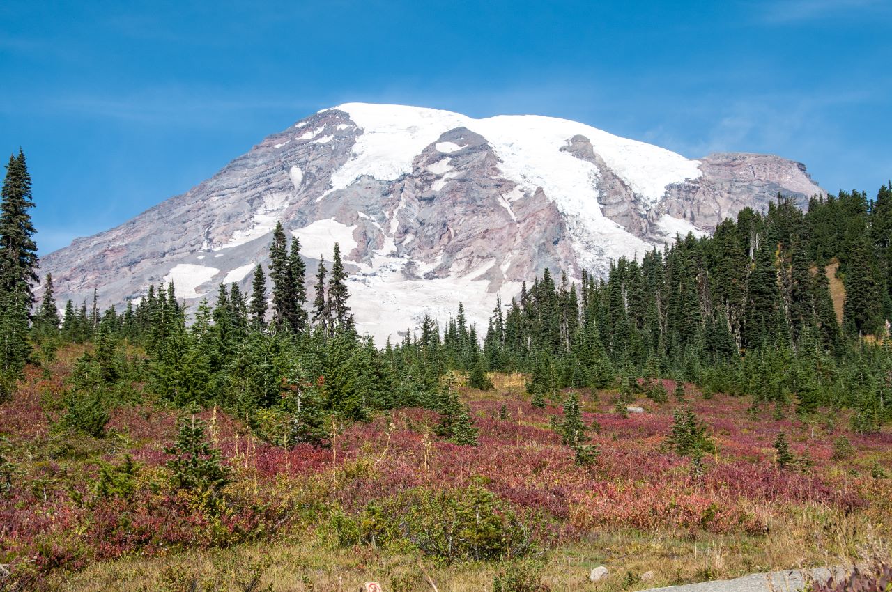 Skyline Loop Trail, Mt. Rainier National Park