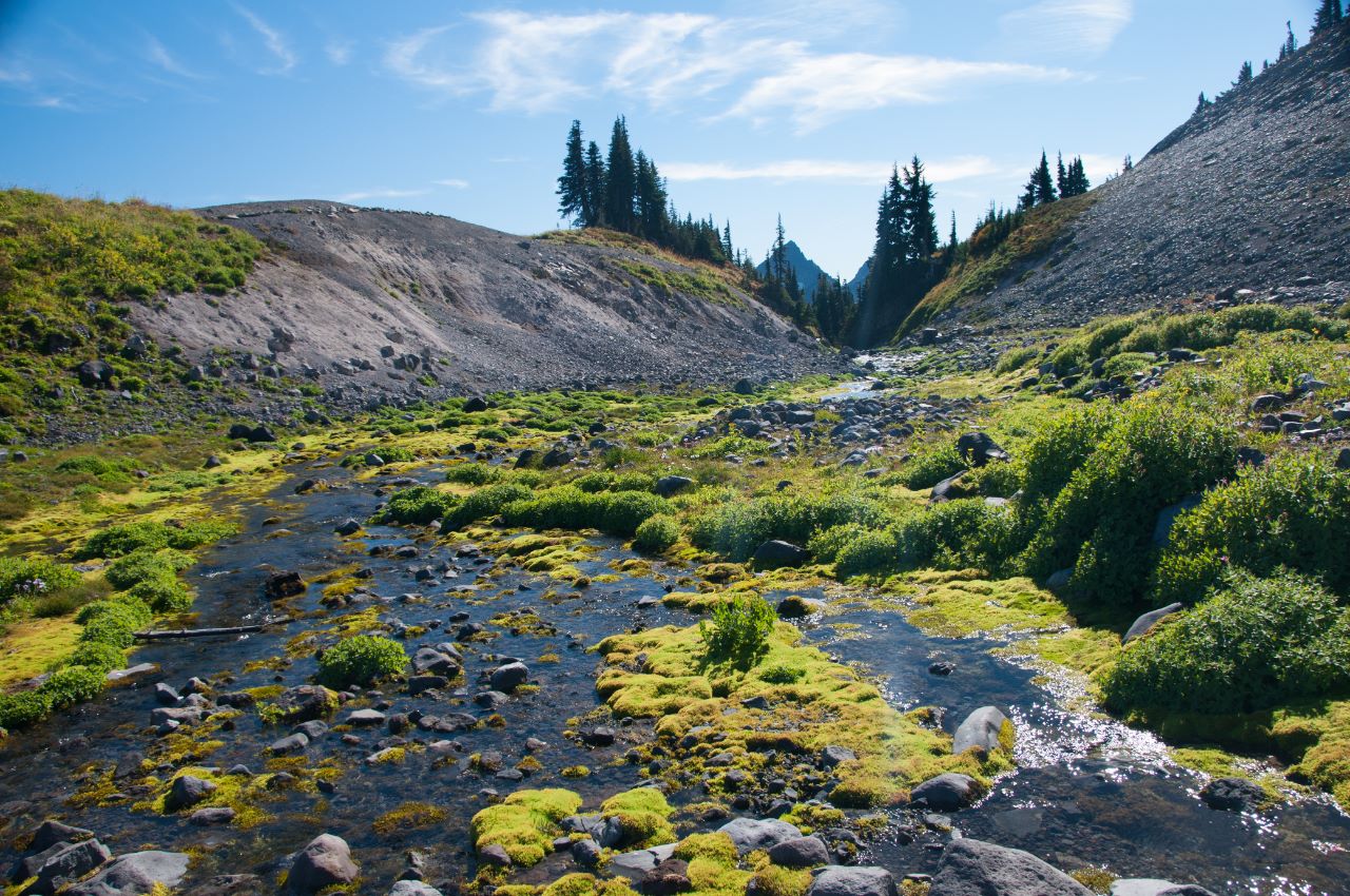 Skyline Loop Trail, Mt. Rainier National Park