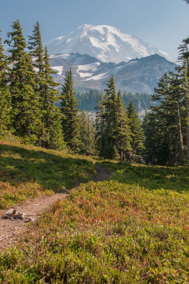 Spray Park, Mt. Rainier National Park