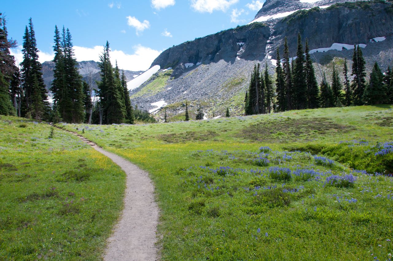 Summerland, Mt. Rainier National Park