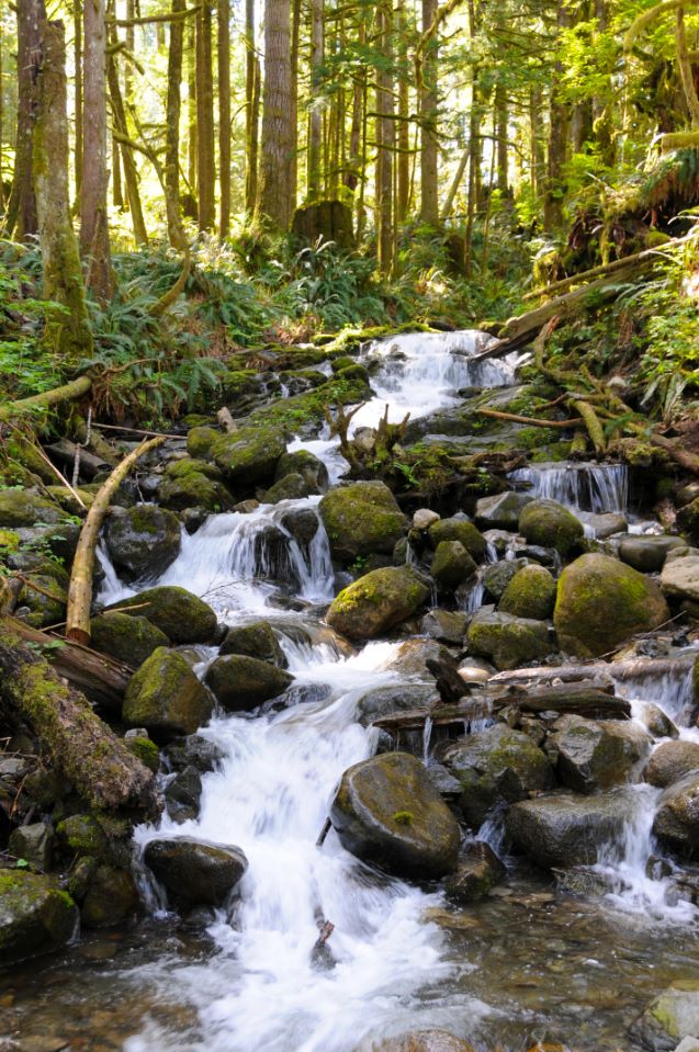 Wallace Falls State Park