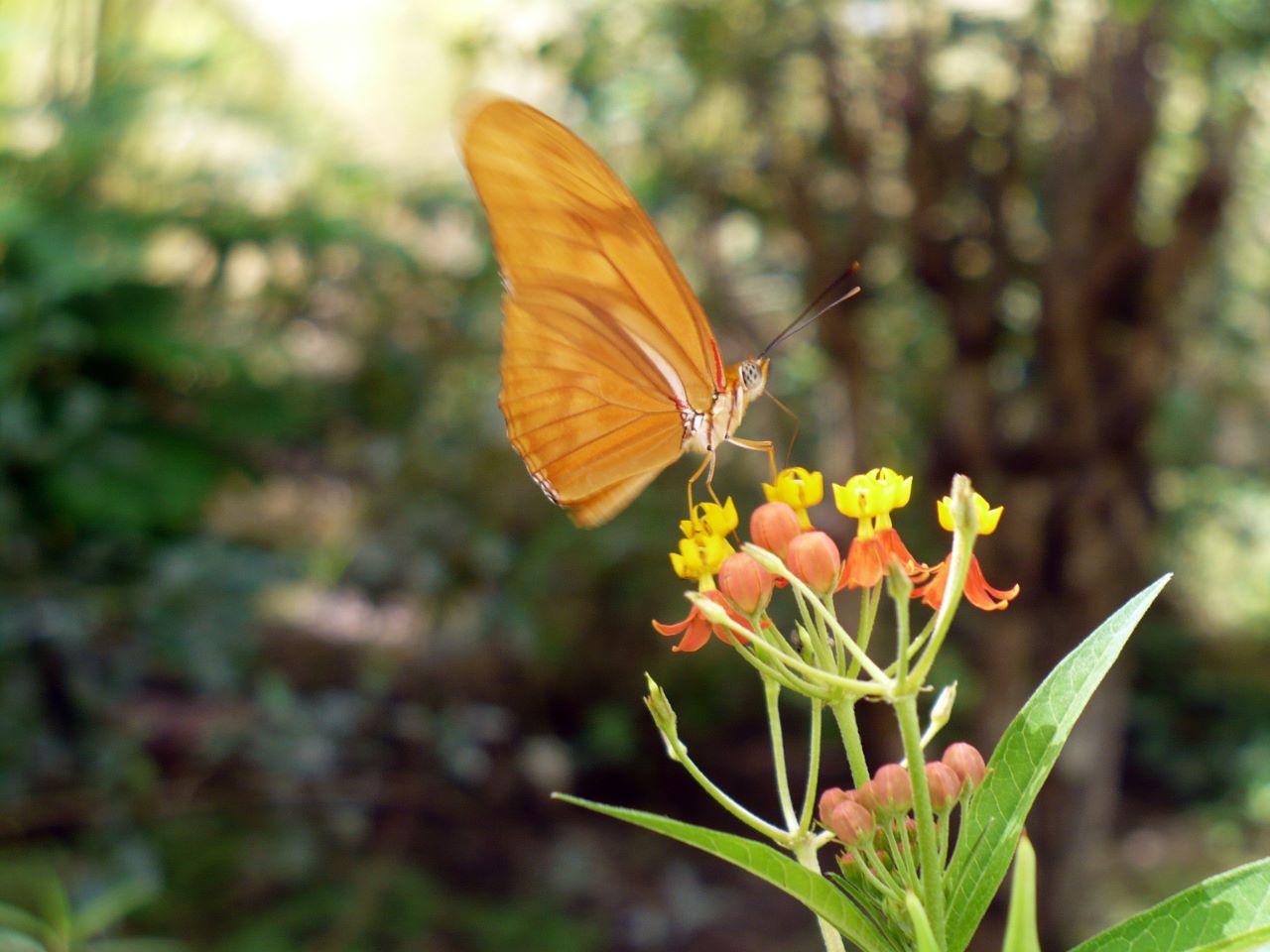 Wildlife preserve in Puntarenas, Costa Rica