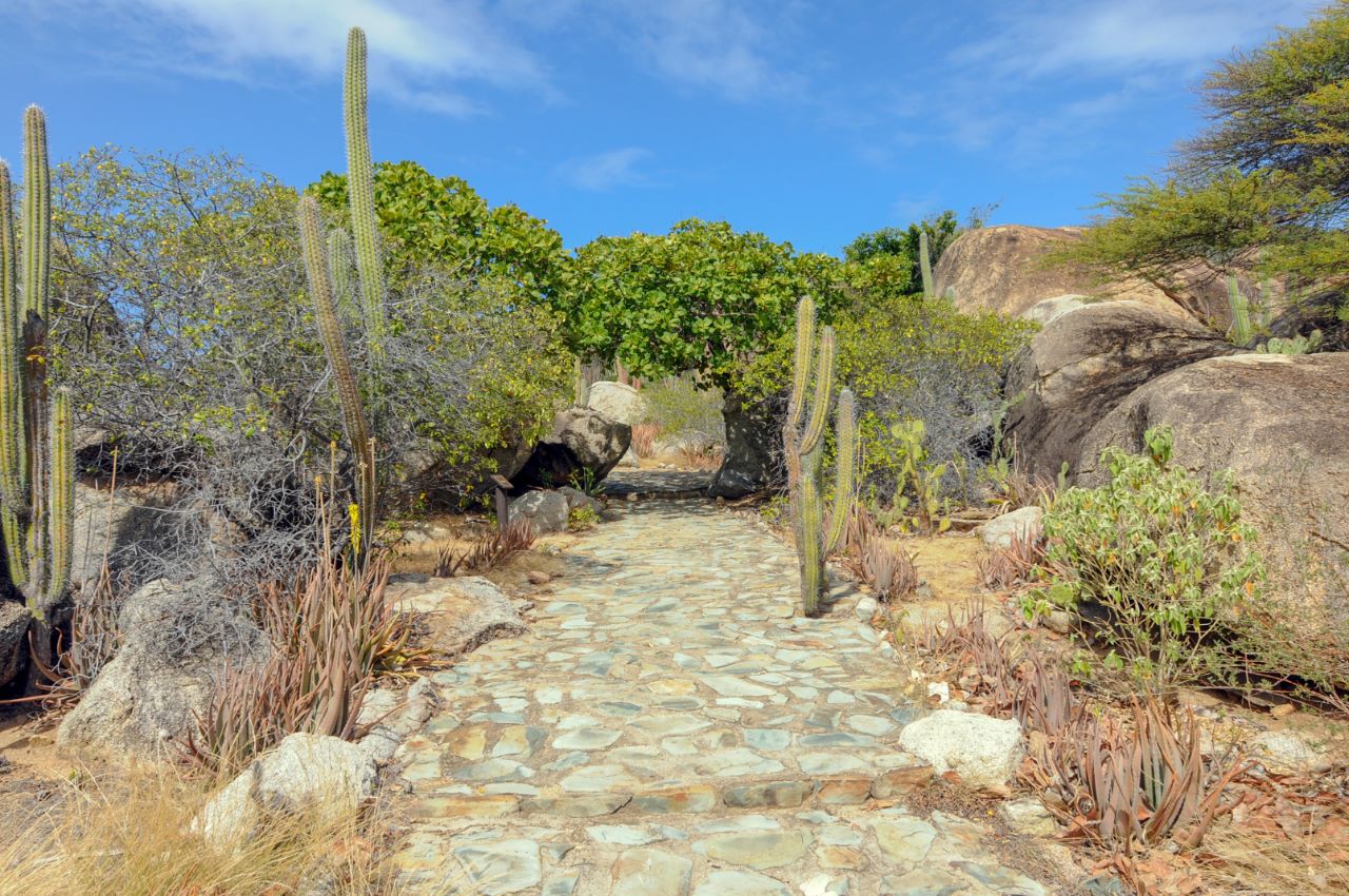 Arikok National Park, Aruba