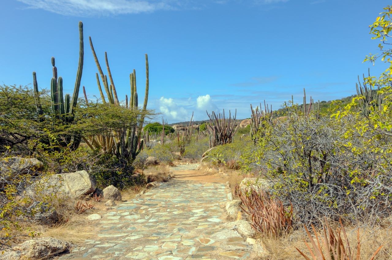 Arikok National Park, Aruba